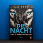 Jan Beck Die Nacht Cover plötzliche Wendungen plötzliche Wendungen